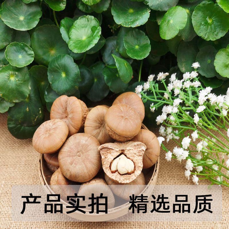 中药材风流果壮阳果泡酒煲汤滋补各种规格批发零售