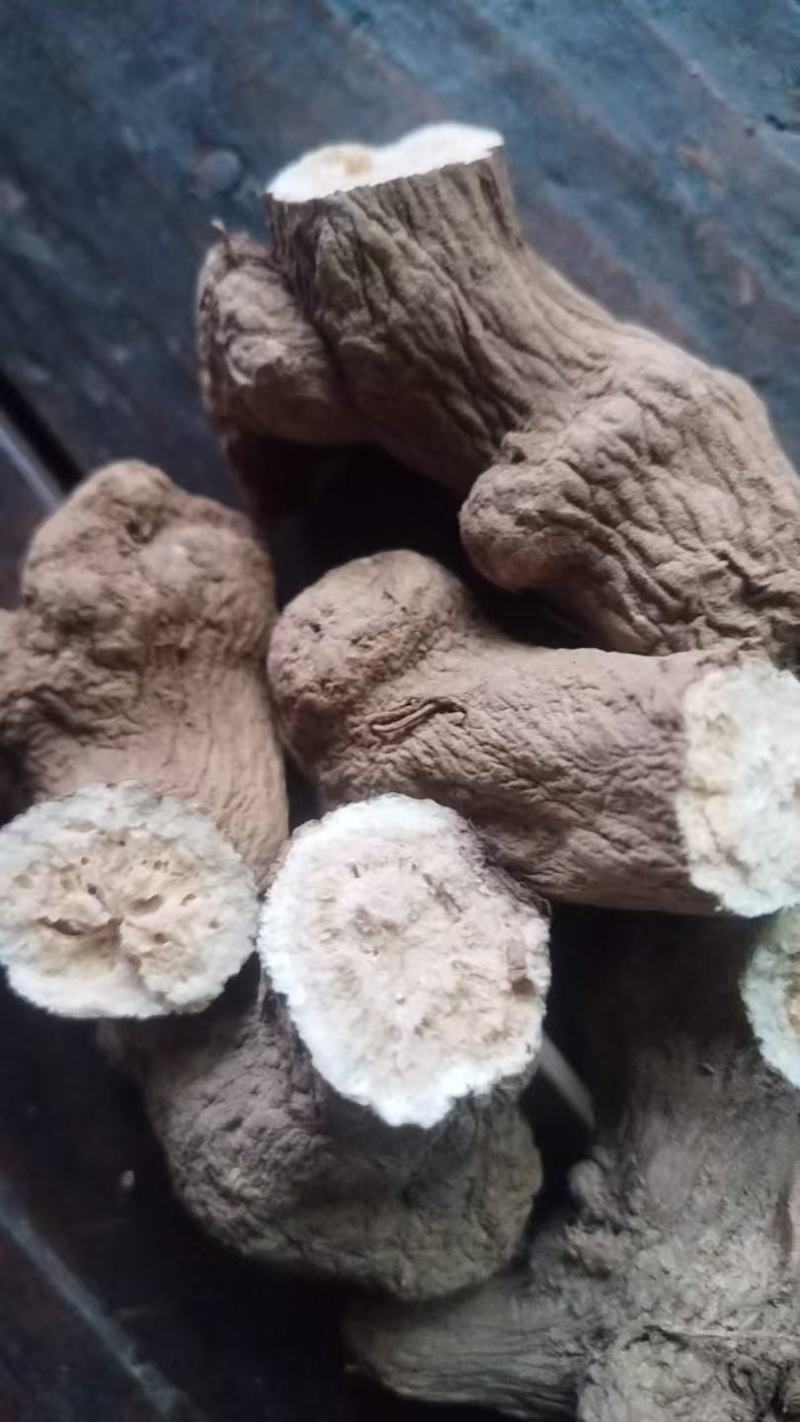 两年白术统货