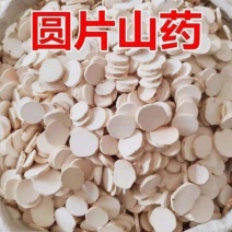 中药材怀山药铁棍山药淮山药圆片煮粥煲汤滋补批发零售