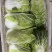 黄心白菜