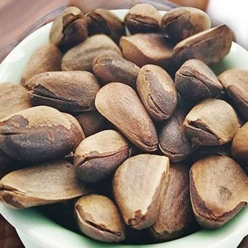 2025野生新鲜生松子原味薄壳云南松子大颗粒散装坚果纯天