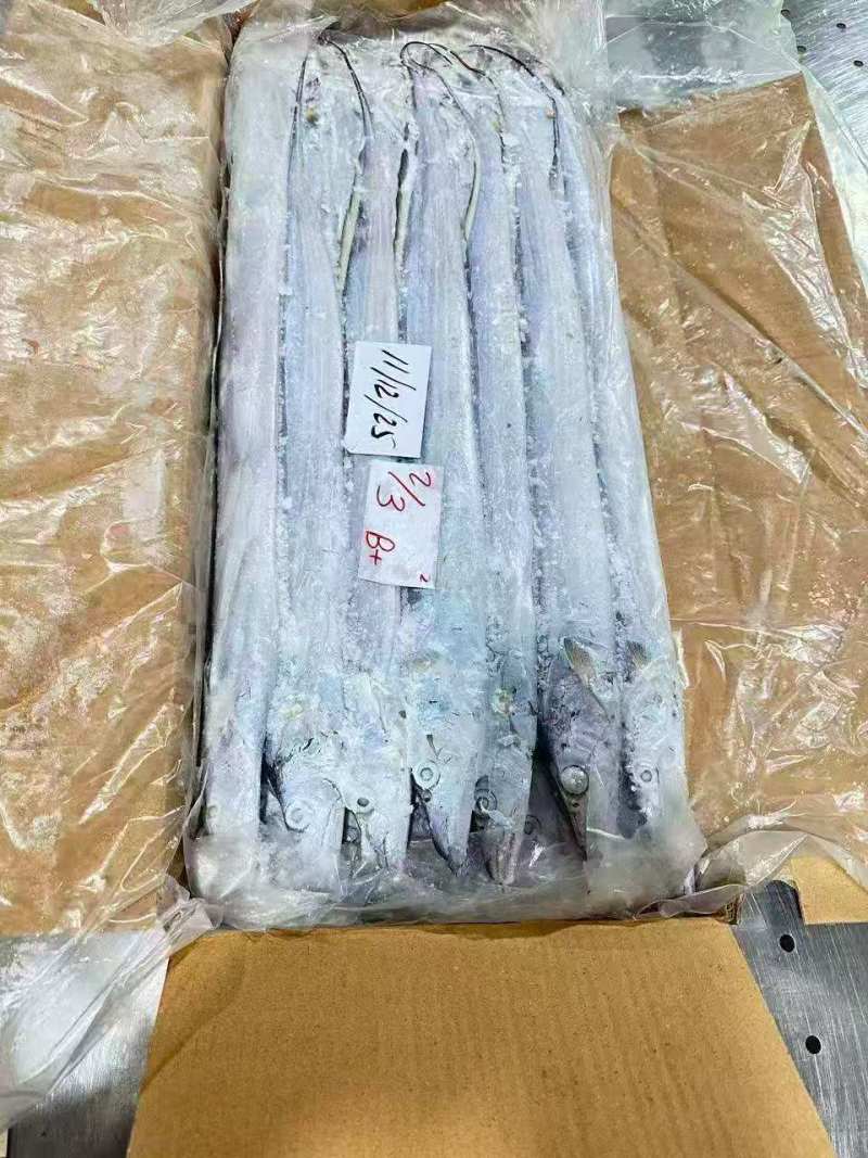 钓带全规格
