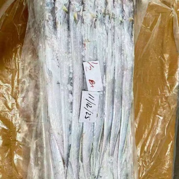 钓带全规格