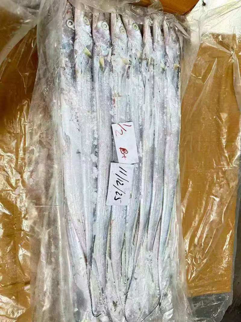 钓带全规格