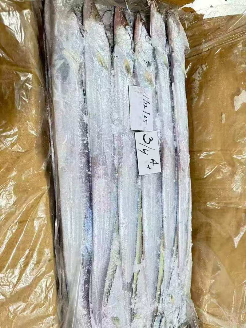 钓带全规格