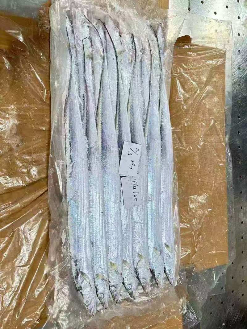 钓带全规格