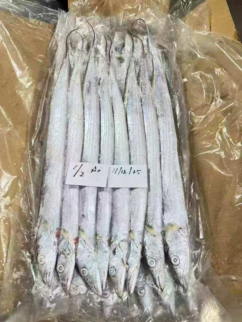 钓带全规格