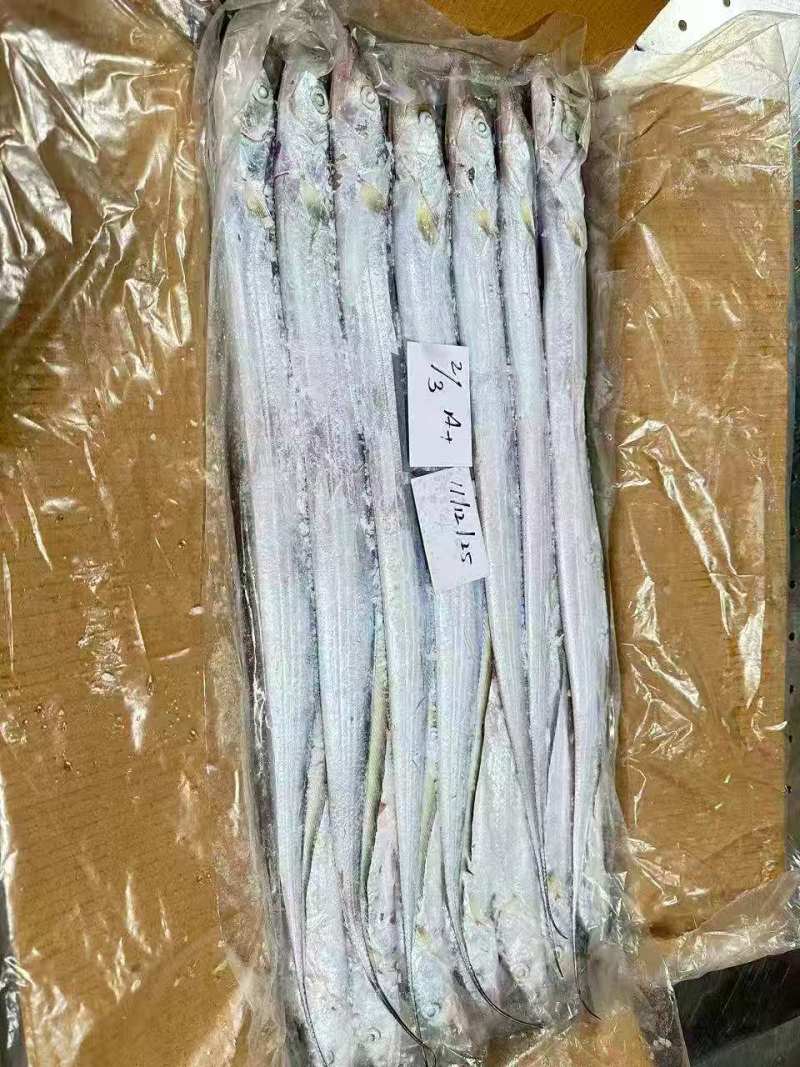 钓带全规格