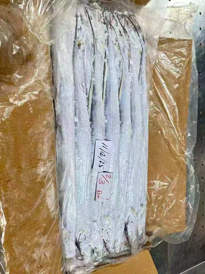 钓带全规格