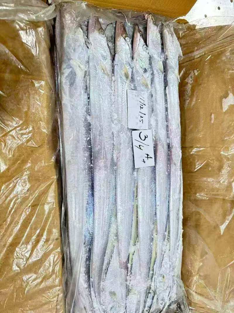 钓带全规格