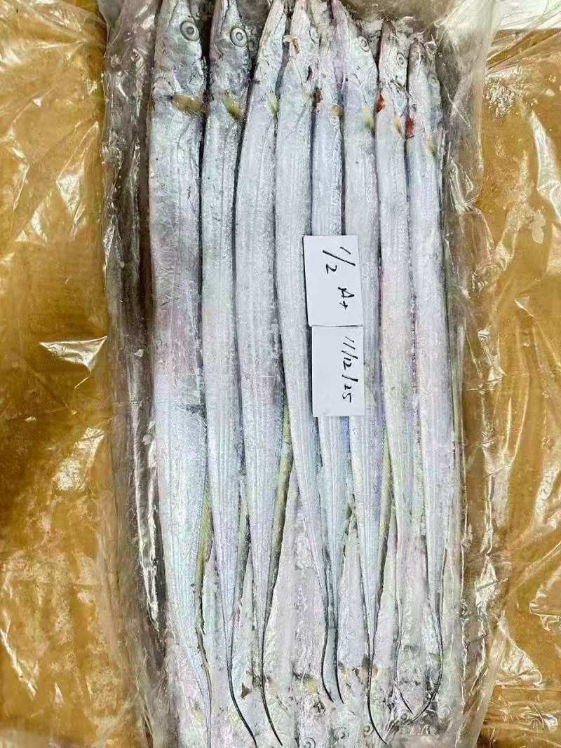 钓带全规格