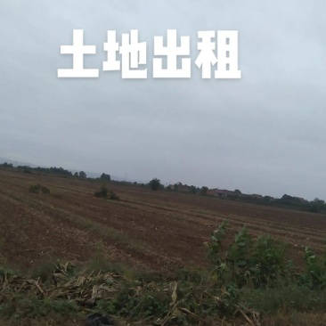 水浇地出租，地址河北省张家口市察北管理区