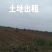 水浇地出租，地址河北省张家口市察北管理区
