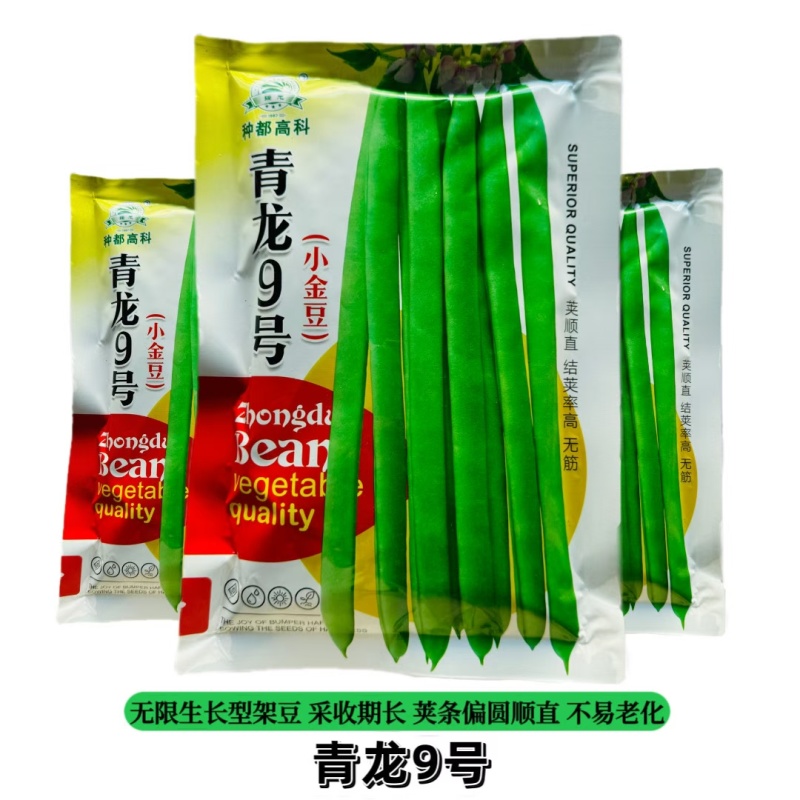 四川种都青龙9号小金豆种子中早熟无限生长无筋肉豆四季豆