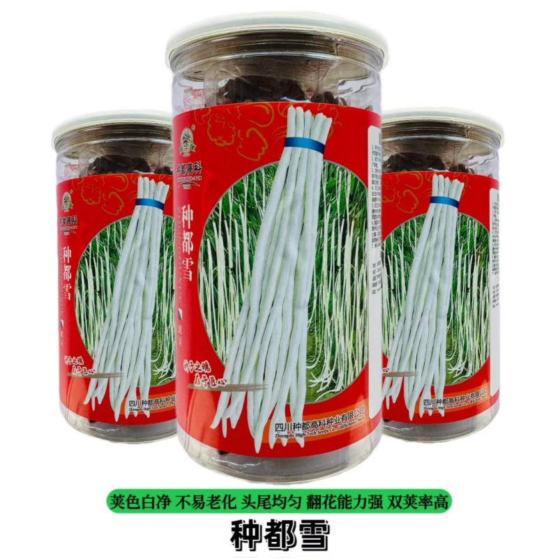 四川种都高科种都雪白豇豆种子早中熟银白色肉厚粗长豆角种籽