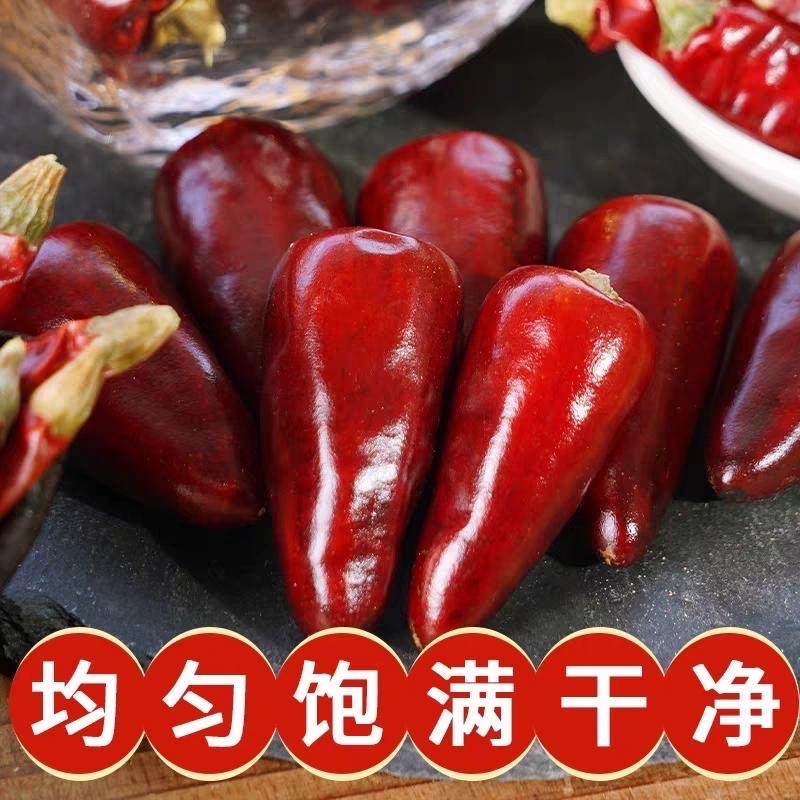 贵州干辣椒中辣火锅飘锅干锅子弹头小灯笼朝天椒新货