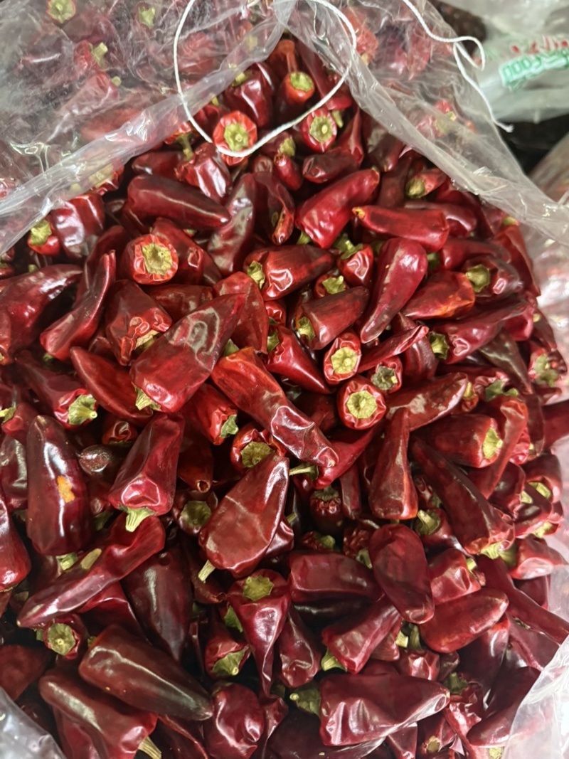 贵州干辣椒中辣火锅飘锅干锅子弹头小灯笼朝天椒新货