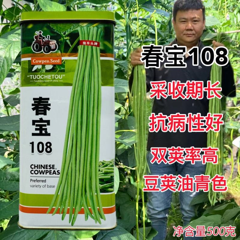 春宝108豇豆种子高产油青长豆角种籽早中熟耐老化春秋季蔬