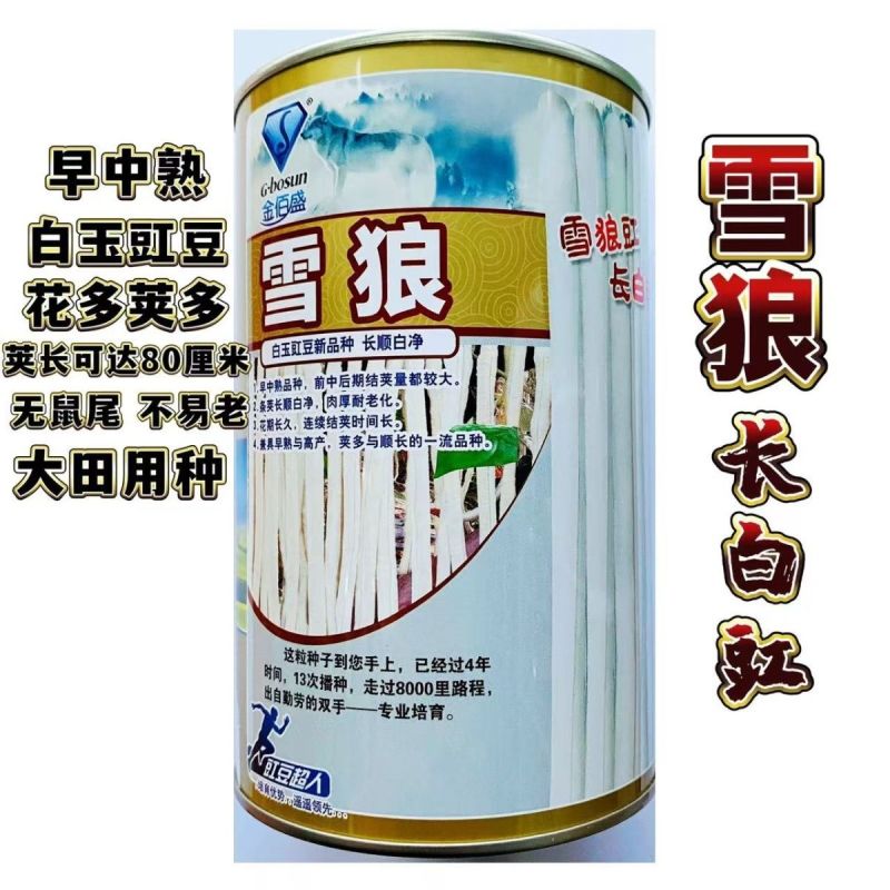 金佰盛雪狼长白豆角种子早中熟白玉豇豆籽荚长80cm耐热湿