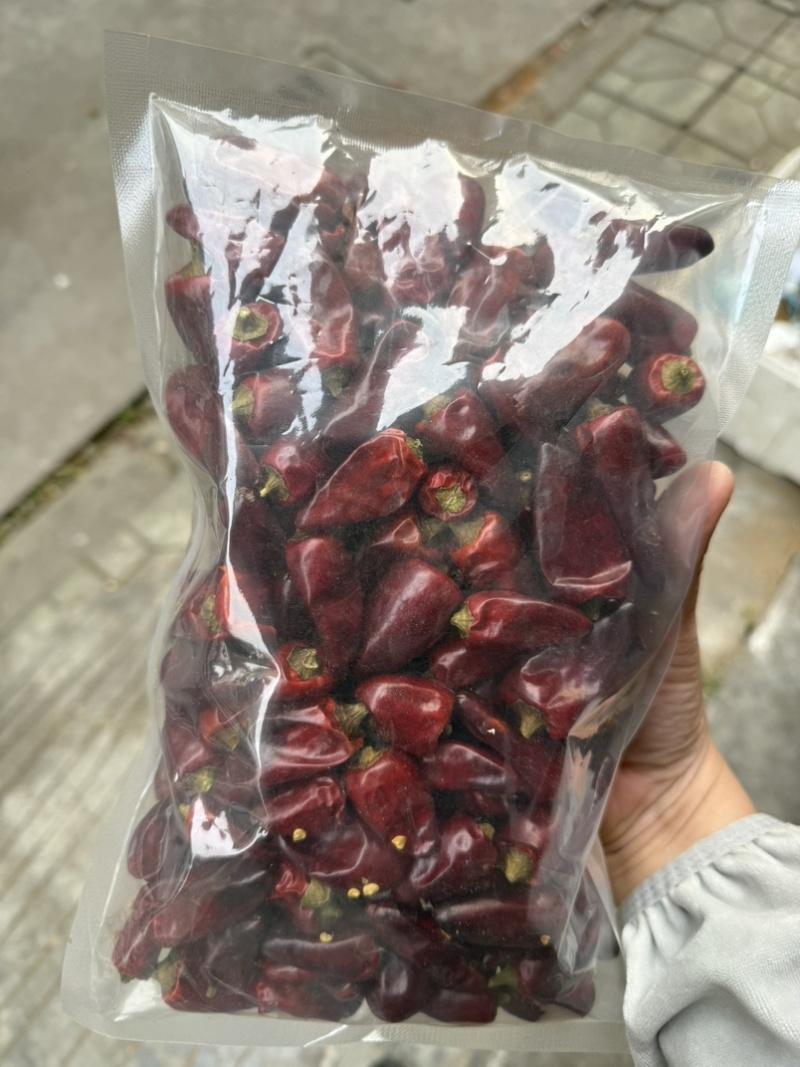 贵州干辣椒中辣火锅飘锅干锅子弹头小灯笼朝天椒新货