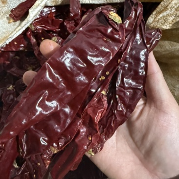 干辣椒精品板椒辣椒铁板椒北京红板椒红油油泼辣子贵州干辣椒