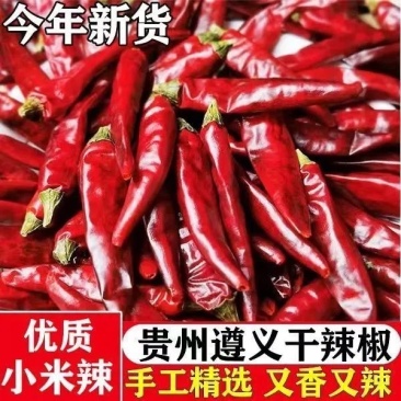当季新货贵州精品干辣椒特辣香辣微辣小米椒朝天椒满天星商用