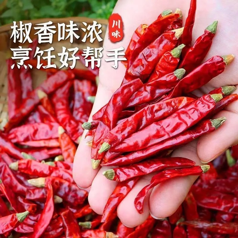 当季新货贵州精品干辣椒特辣香辣微辣小米椒朝天椒满天星商用
