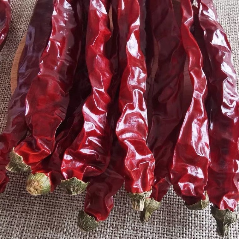 四川木马山二荆条微辣香，薄皮二荆条红油二荆条