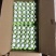 湖北绿壳蛋