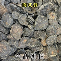 软质肉苁蓉圆片梭梭肉苁蓉鲜切片中药材规格齐全