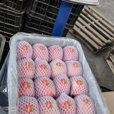 新疆阿克苏冰糖心苹果