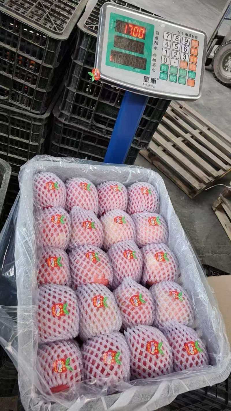 新疆阿克苏冰糖心苹果