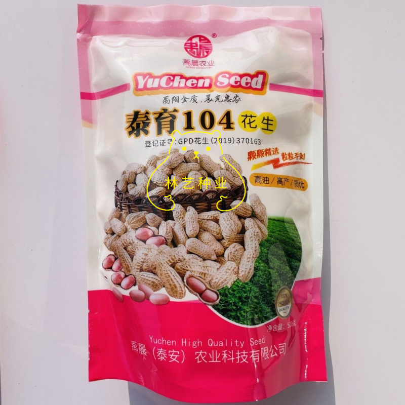 泰育104花生种子早熟高产优质花生种籽农家大田基地