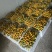 四川大凉山脆蜜金柑万亩种植基地
