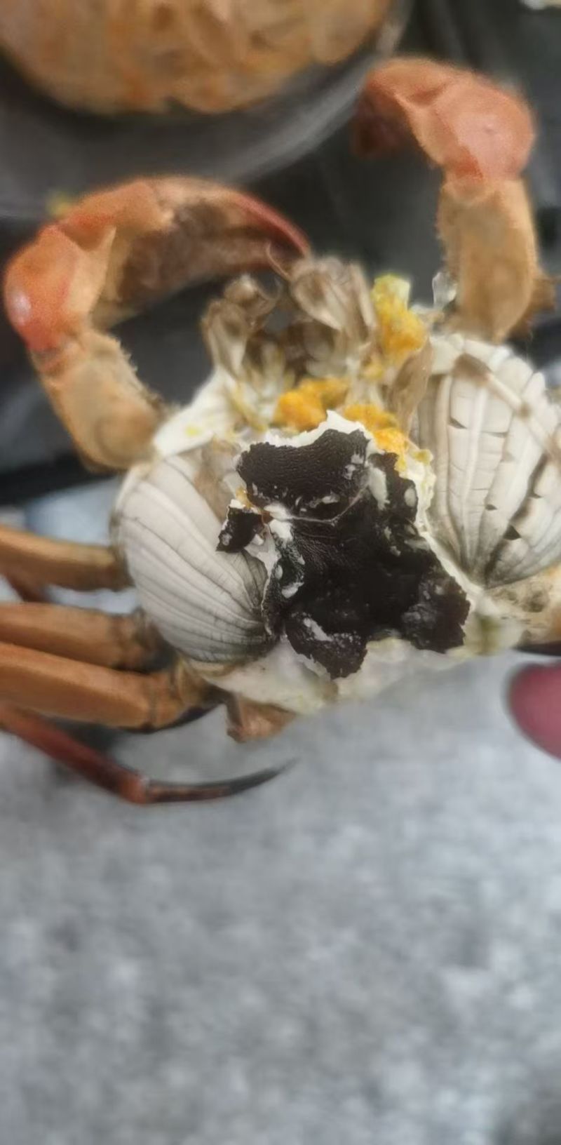 洪泽湖精品大闸蟹自产自销批发零售全国供货量大从优