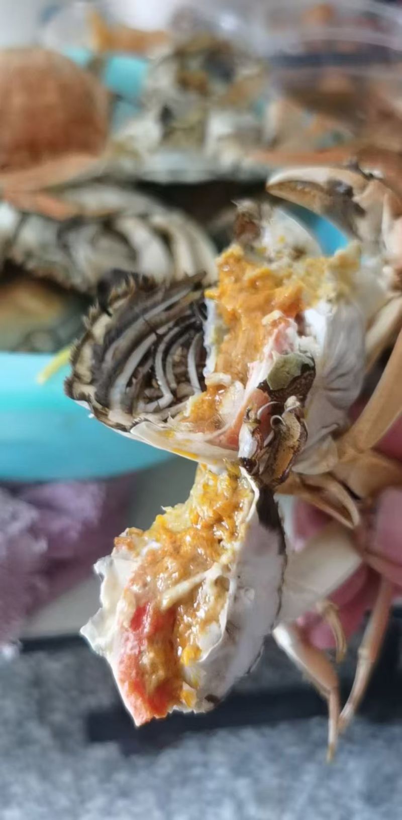 洪泽湖精品大闸蟹自产自销批发零售全国供货量大从优