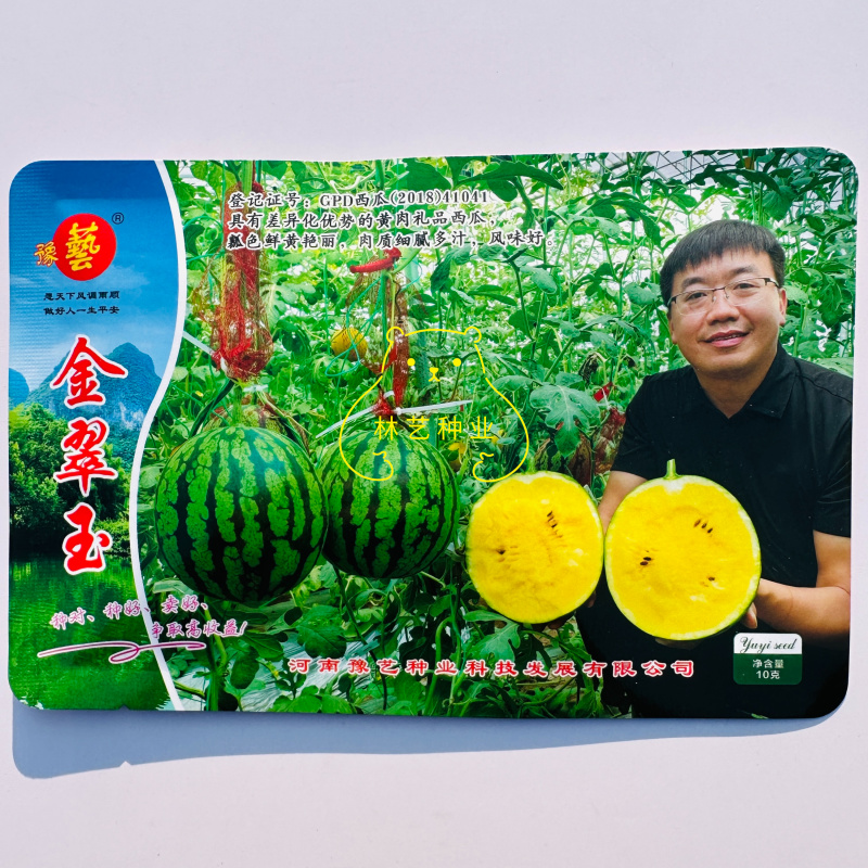 金翠玉黄肉礼品西瓜种子早熟花皮黄肉薄皮西瓜种子鲜黄瓤西瓜