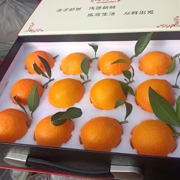 象山红美人