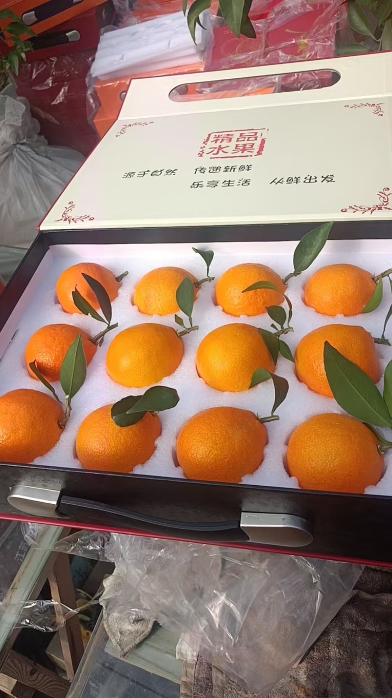 象山红美人