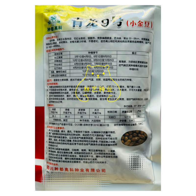 青龙9号小金豆种子中早熟无限生长型肉豆无筋四季豆架豆
