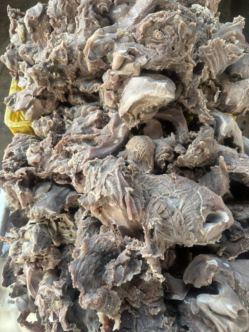 精修牛头腩，头肉，嘴乂肉，新鲜大量货