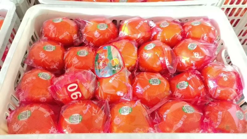 奉节纽荷尔脐橙清甜多汁对接全国量大从优欢迎采购热卖
