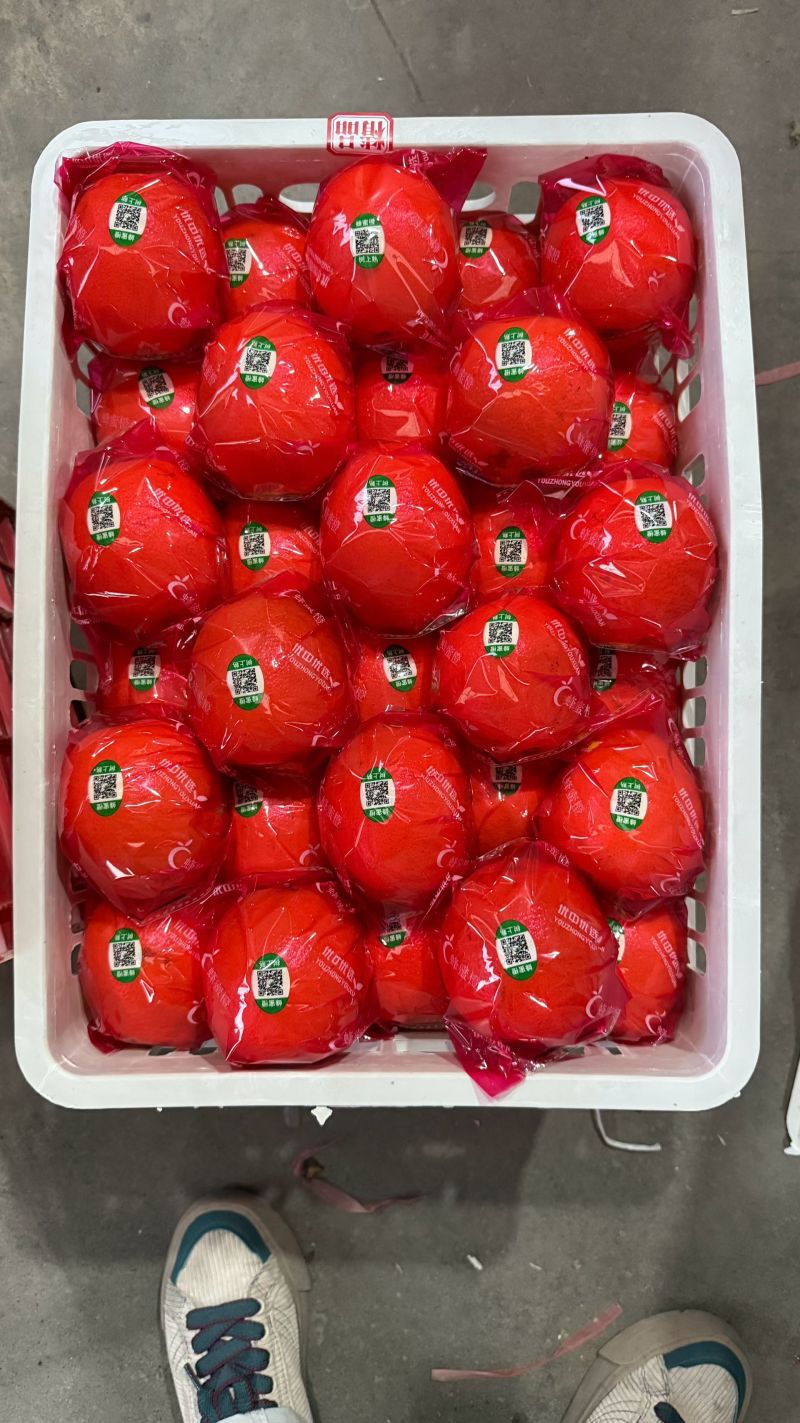 奉节纽荷尔脐橙清甜多汁对接全国量大从优欢迎采购热卖