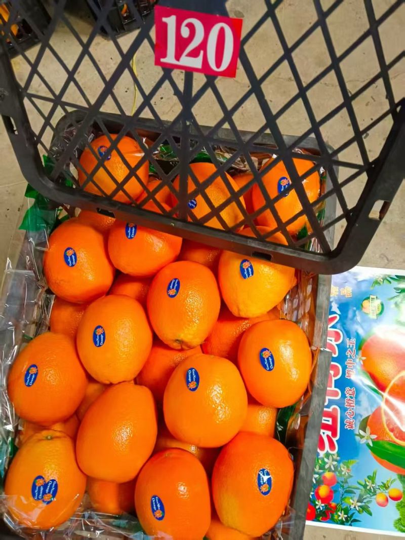 奉节纽荷尔脐橙清甜多汁对接全国量大从优欢迎采购热卖