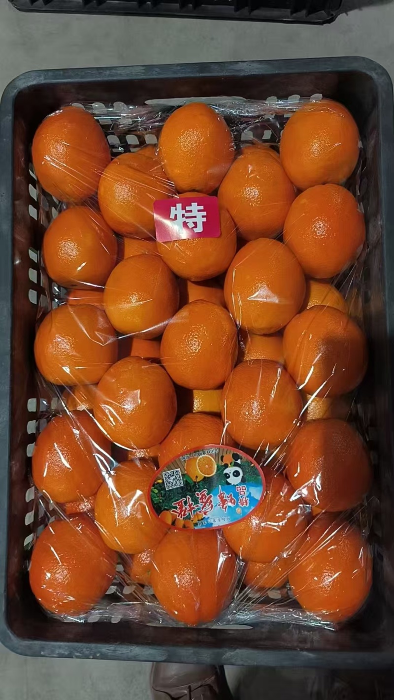 奉节纽荷尔脐橙清甜多汁对接全国量大从优欢迎采购热卖