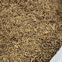 中草药材白薇白微白尾无根头各种规格批发零售