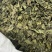 中草药材桑叶霜后桑叶干桑叶冬桑叶各种规格批发零售