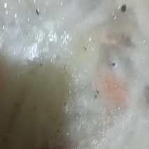嫩江流域天然银鱼，8至15cm。营养丰富，滋补老少皆宜