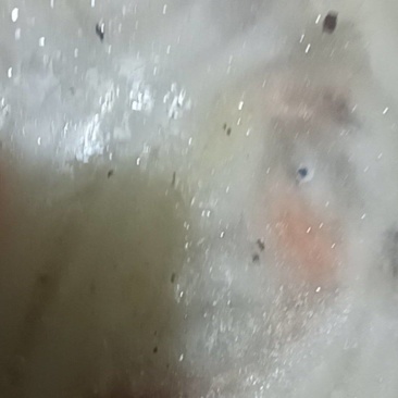 嫩江流域天然银鱼，8至15cm。营养丰富，滋补老少皆宜
