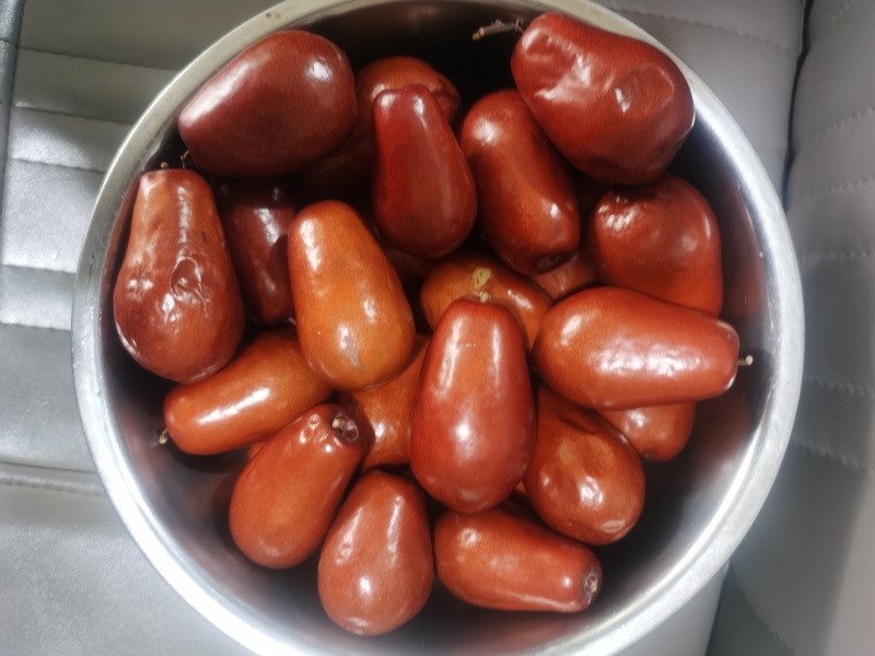 酒枣